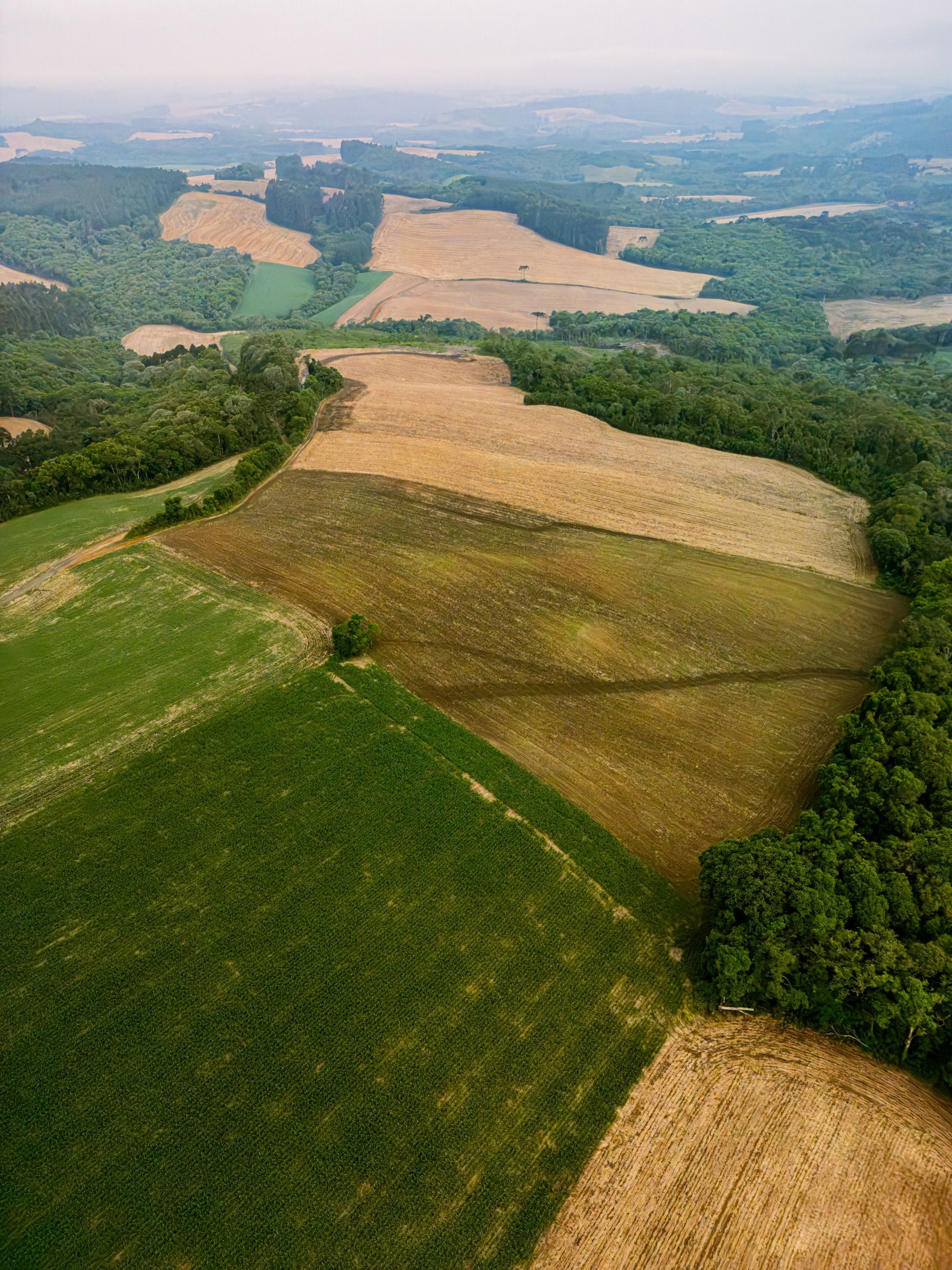 Paisagem agrícola diversa vista do alto